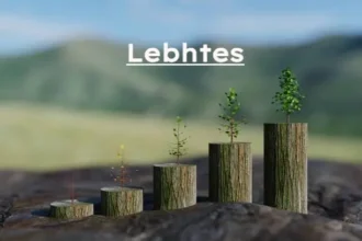 Lebhtes business growth concept showing plants growing on tree stumps, symbolizing progressive business development and success in modern entrepreneurship.