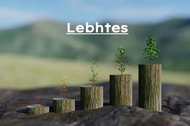 Lebhtes business growth concept showing plants growing on tree stumps, symbolizing progressive business development and success in modern entrepreneurship.