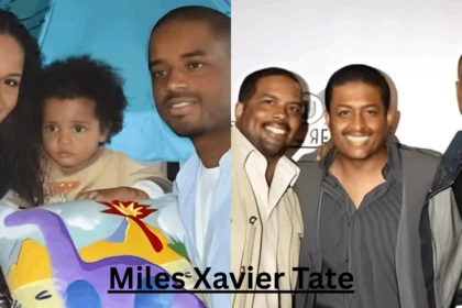 Android Cycle Guide showing activity lifecycle stages from creation to destruction